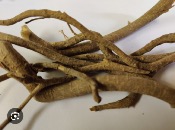 100g La racine ou le Nkang