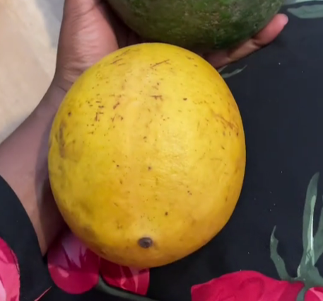 Faux kinkeliba aka Fruit Mille Maladie