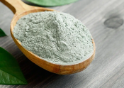 Argile Verte