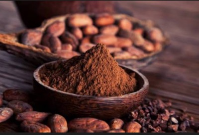 Poudre de cacao
