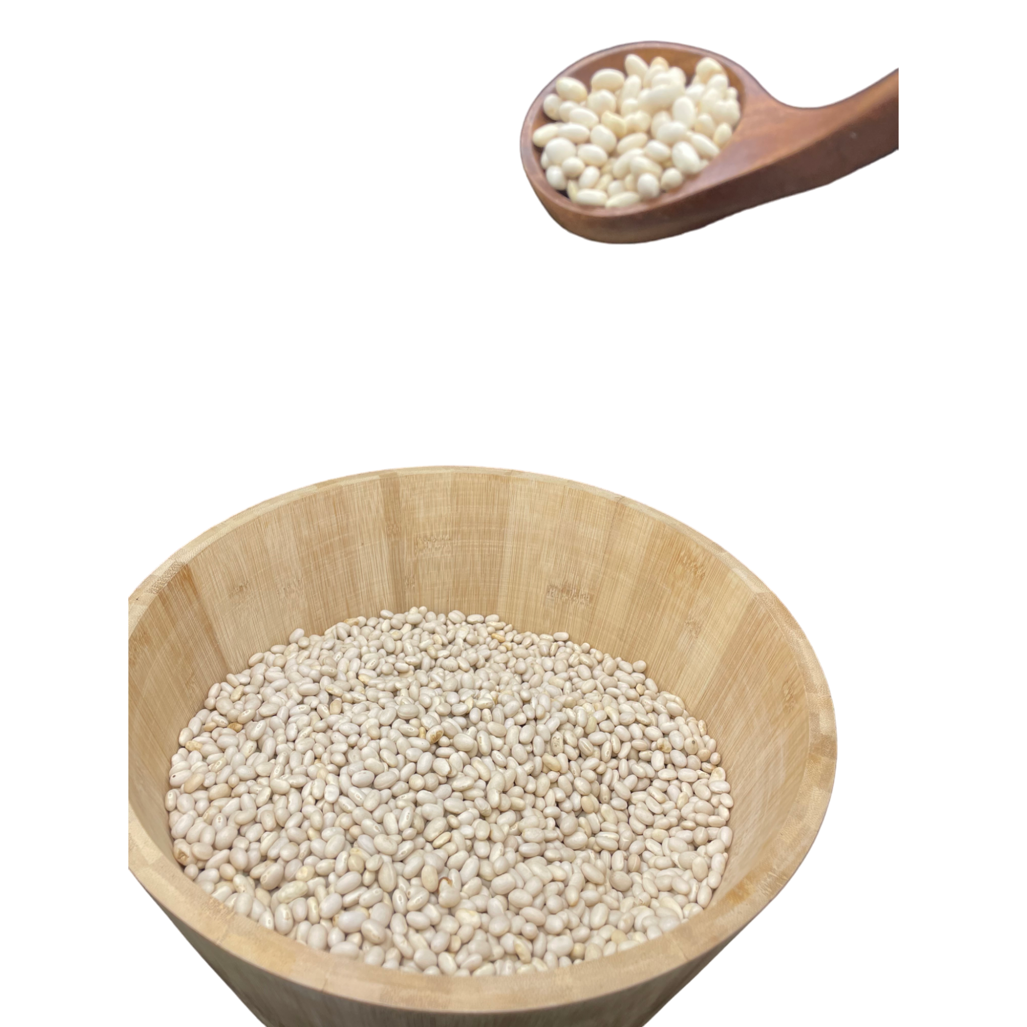 Haricot Blanc  <strong> 1 Kg </strong>