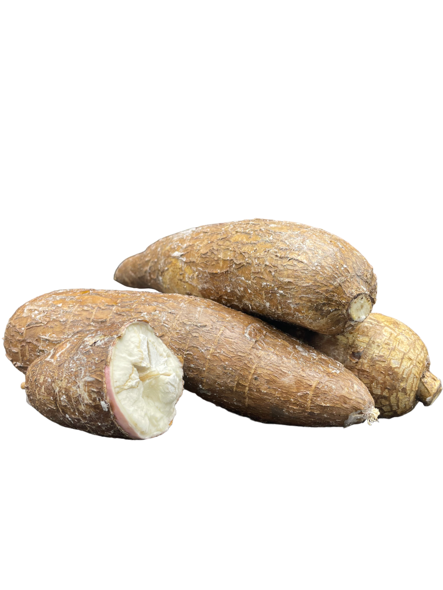 manioc-de-cassava