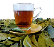 Feuilles séchées de corossol 15g